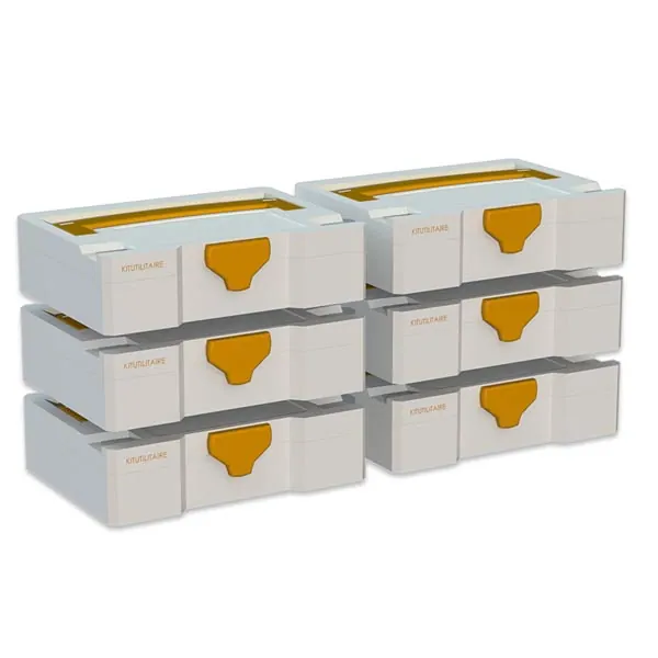 Pack Systainers T1x6 équipement pour utilitaire